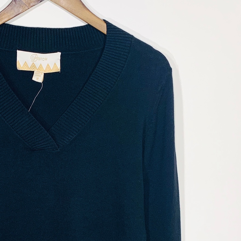 ⭐️ College Girl Long-Sleeve V-neck Sweater (NWT)